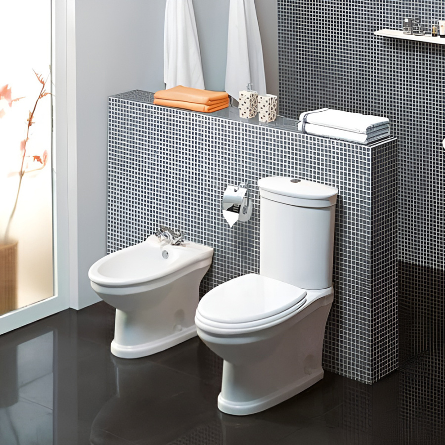 Чаша для унитаза-компакта Cezares Primo CZR-166-T