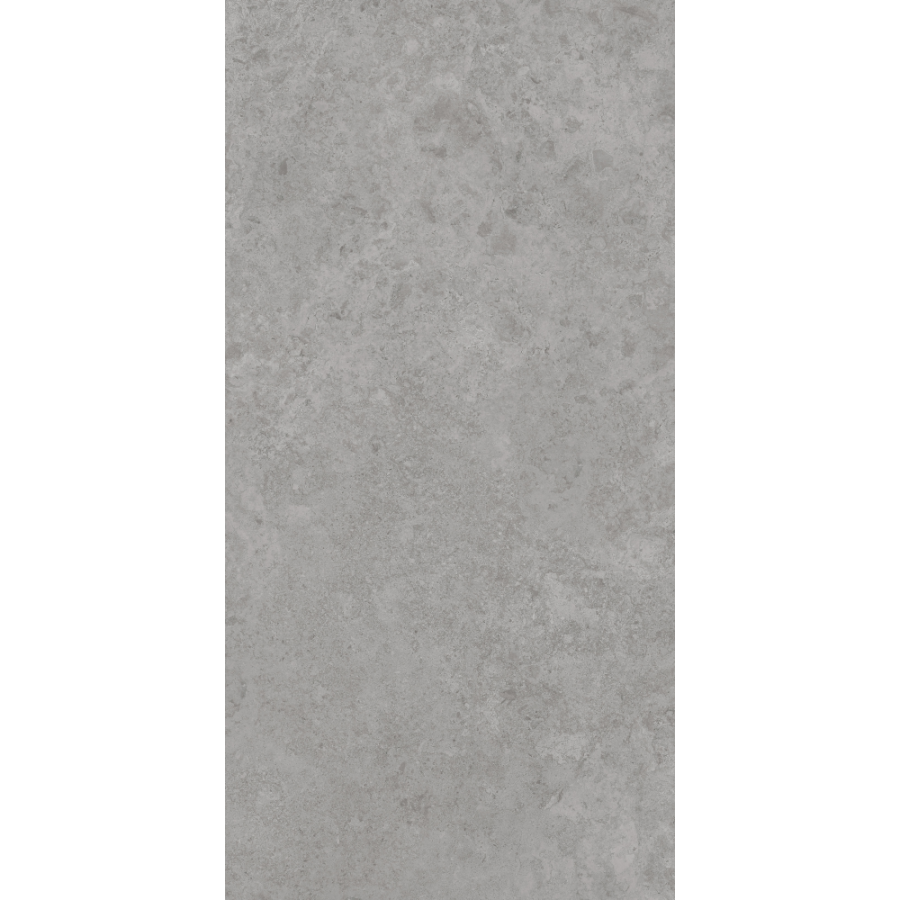 Керамогранит AVS by Italian Design Antica Grey 60x120 Lappato Керамогранит AVS by Italian Design Antica Grey 60x120 Lappato