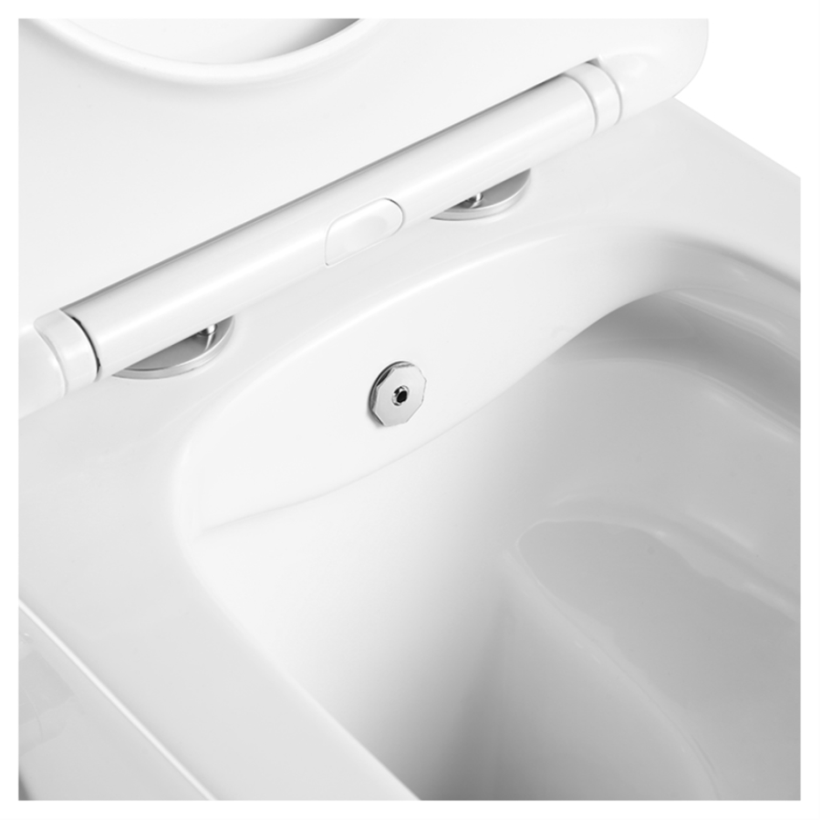 Унитаз подвесной AVS Плутон белый, с функцией биде Унитаз подвесной AVS Плутон белый, с функцией биде