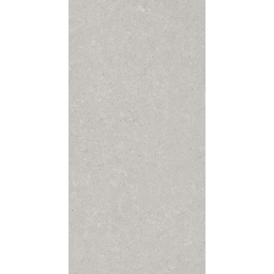 Керамогранит AVS by Italian Design Velluto Grey 60x120 Moon Light Stone Керамогранит AVS by Italian Design Velluto Grey 60x120 Moon Light Stone