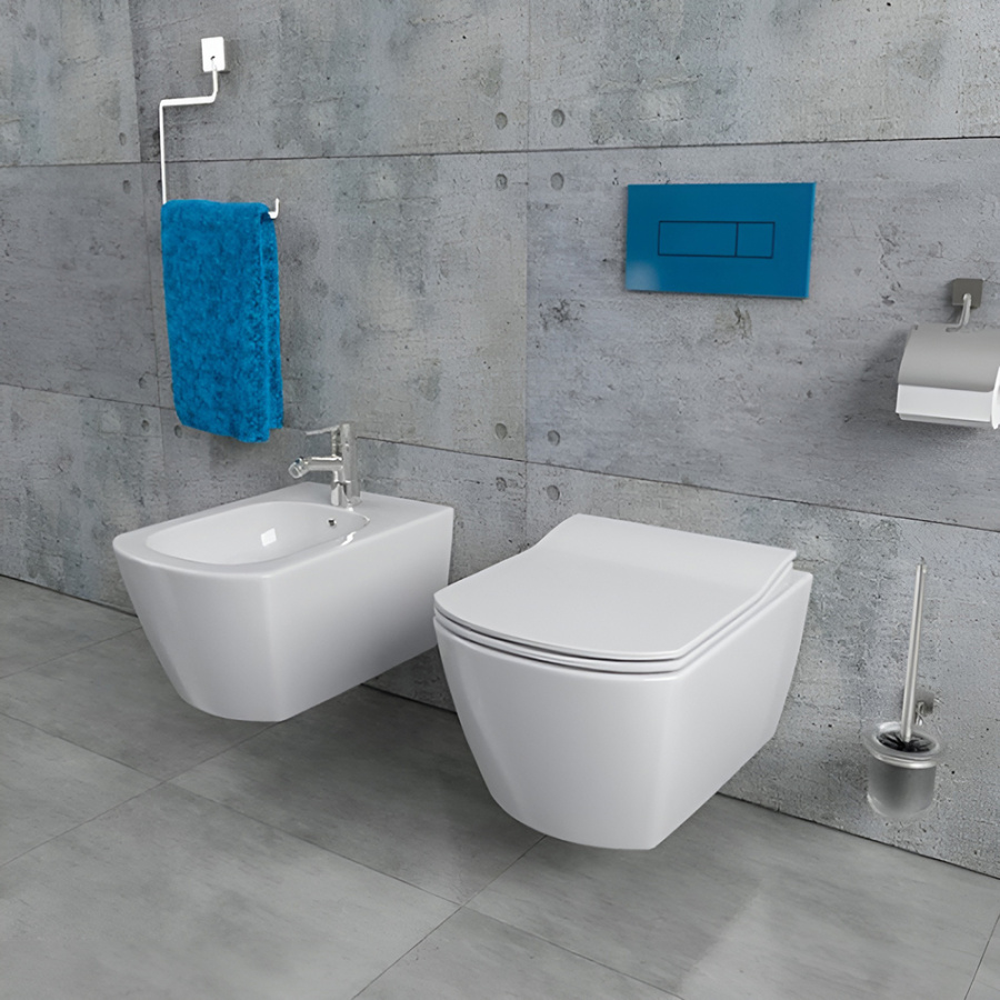 Унитаз подвесной Creavit Elegant EG321-00CB00E-0000 безободковый с биде Унитаз подвесной Creavit Elegant EG321-00CB00E-0000 безободковый с биде