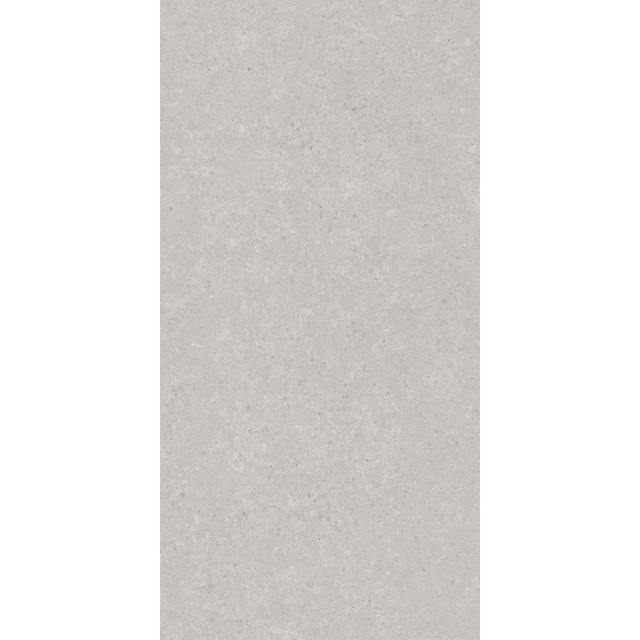 Керамогранит AVS by Italian Design Velluto Grey 60x120 Moon Light Stone Керамогранит AVS by Italian Design Velluto Grey 60x120 Moon Light Stone