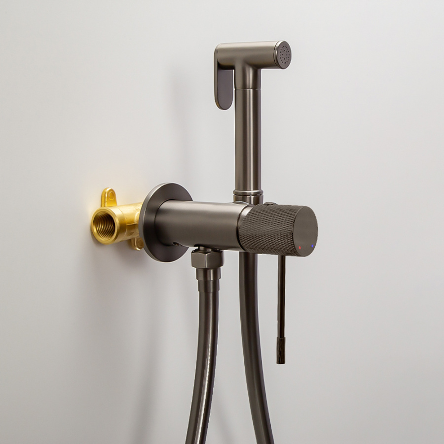 Гигиенический душ со смесителем AVS Seeme оружейная сталь Гигиенический душ со смесителем AVS Seeme оружейная сталь