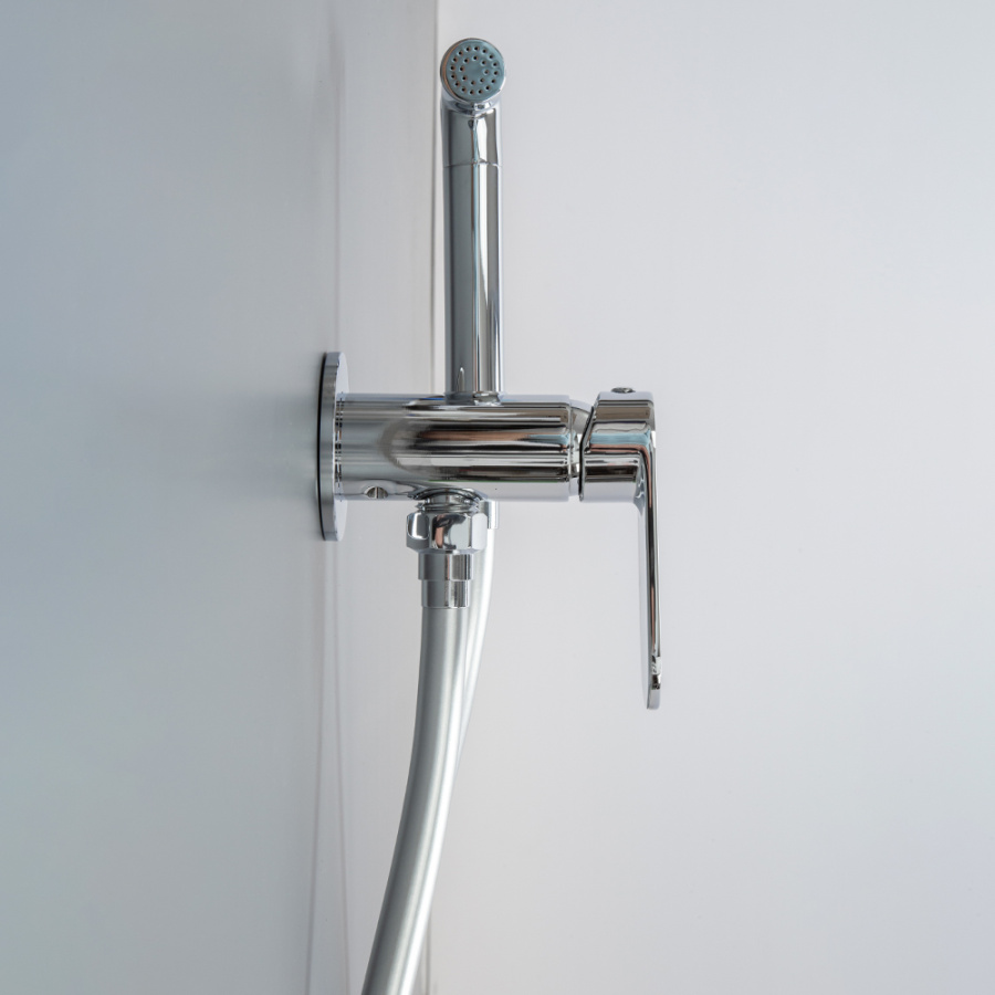 Гигиенический душ со смесителем AVS Beauty хром Гигиенический душ со смесителем AVS Beauty хром